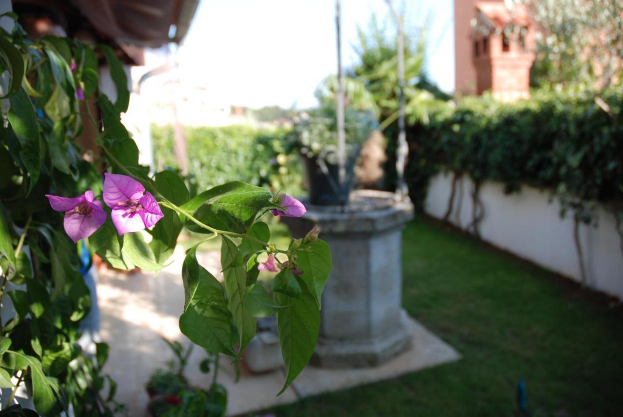 B&B Sea Joy Rovinj Bagian luar foto